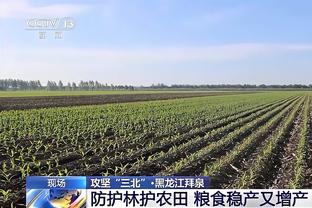 弟媳摊手波帅人麻！切尔西最后1攻：6人抢点穆德里克任意球出底线